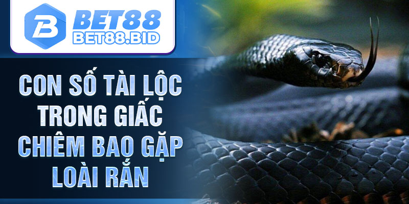 Con số tài lộc trong giấc chiêm bao gặp loài rắn