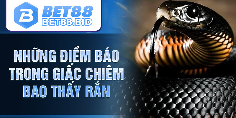 Những điềm báo trong giấc chiêm bao thấy rắn