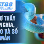 Giấc Mơ Thấy Rắn