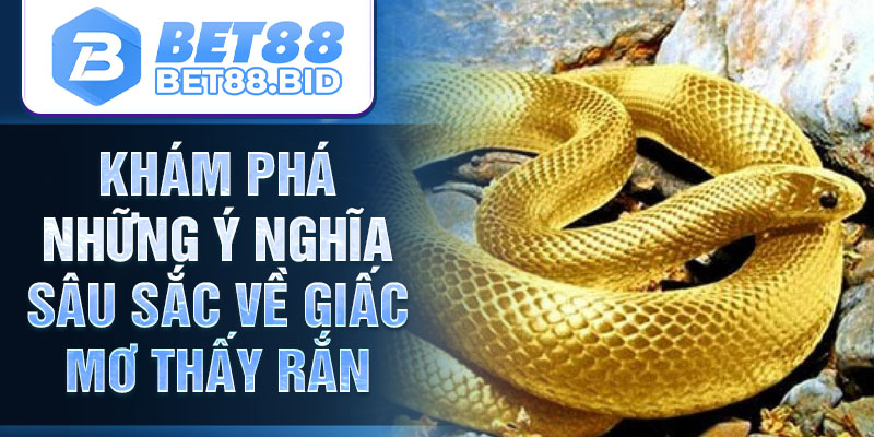 Khám phá những ý nghĩa sâu sắc về giấc mơ thấy rắn